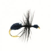 Ant Black